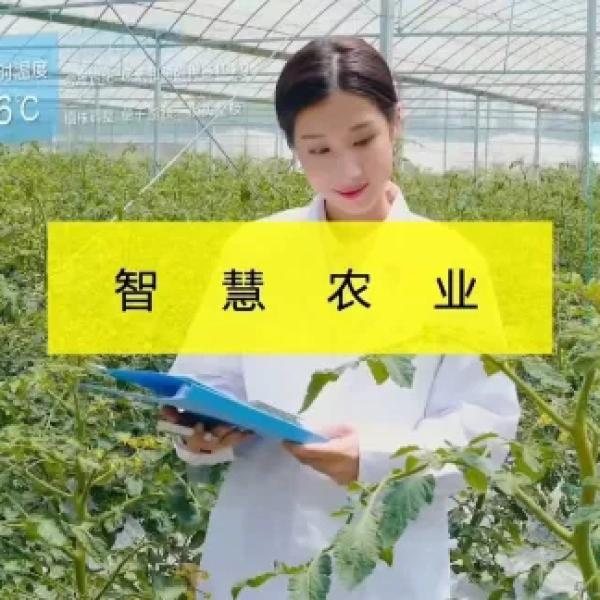 智慧农业